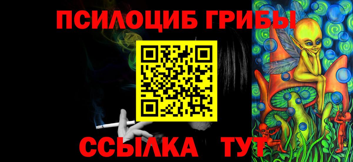 Зима  Псилоцибиновые грибы Psilocybe  Вход с VPN  Псилоцибиновые грибы Psilocybe 